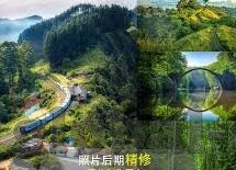 麻豆av在线播放-揭秘麻豆av在线播放，互联网非法内容之殇与守卫网络健康的呼吁