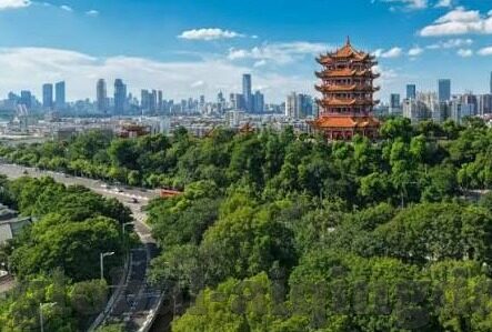 麻豆精东传媒-麻豆精东传媒，影像时代的创新与探索