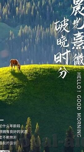 麻豆视频破解版哪里可以下载-解密麻豆视频，破解版的下载途径与考量