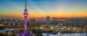 糖心app官网下载最新-探索智慧生活的科技新宠——糖心app的最新体验