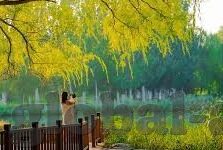 在线播放无码av含麻豆-直击无码av的在线新窗口