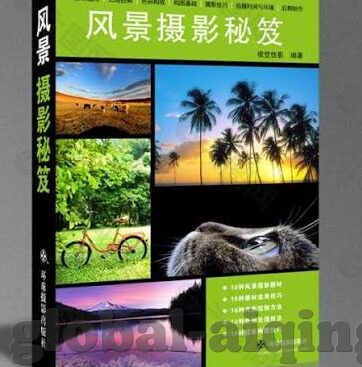 中文字幕丝袜在线影院-探索网络文化与娱乐的边界，中文字幕丝袜在线影院的多元视角
